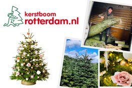 Een echte kerstboom kopen? Natuurlijk bij Kerstboom Rotterdam