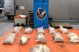 Aanhoudingen in Dubai vanwege internationale drugshandel
