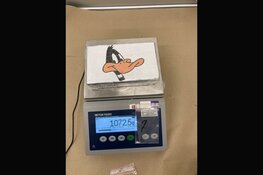 85 kilo cocaïne tussen bevroren mangopuree