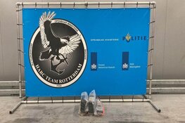 Twee partijtjes cocaïne aangetroffen in Rotterdamse haven