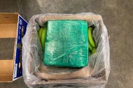Zes verdachten aangehouden voor de invoer van 7700 kilo cocaïne