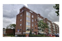 Enorme potentie voor optoppen in Zuid-Holland