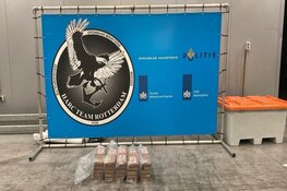 Douane vindt op Valentijnsdag twee partijen drugs in Rotterdamse haven