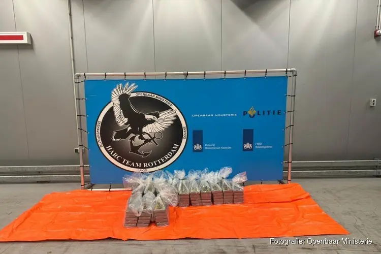 Cocaïne gevonden tussen lading avocado’s
