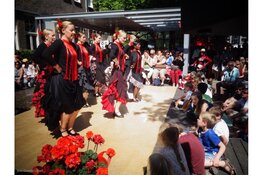 Flamenco terug van nooit weggeweest