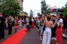 Wild Summer of Art bij Brutus in Rotterdam