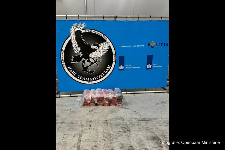Douane vindt 60 kilo cocaïne in container bananen
