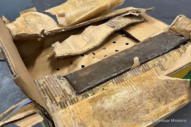 Douane stuit op 317 kilo cocaïne in bodems bananendozen