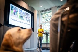 OmZien Wandelen uit Barendrecht gekozen tot Beste Beweeginitiatief 2024