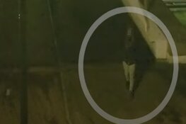 Wie is de voetganger die vlak achter slachtoffer dodelijk schietincident loopt?