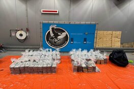 Twee grote cocaïnevangsten: 633 kilo onderschept tussen ladingen avocado’s