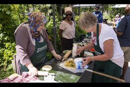 Nieuwe subsidie voor Gezond Voedselsysteem geopend