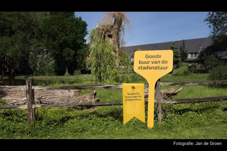 Deze boom op Zuid krijgt een lintje. Waarom?