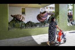 De zeemeermin als beschermer van Mathenesse