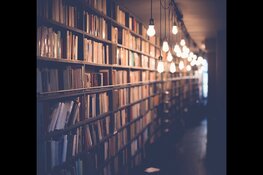 Van gemeentekantoor naar tijdelijke bieb