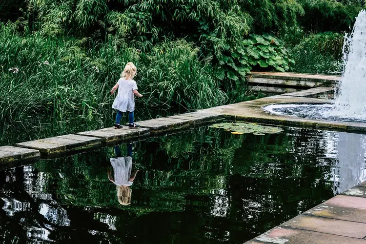 Nieuwe subsidieregeling hoogheemraadschap van Schieland en de Krimpenerwaard voor aanleg klimaatvriendelijke tuin