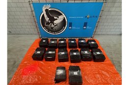 Douane vindt 463 kilo cocaïne in container met mango’s