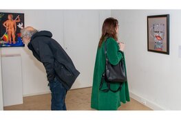 Tentoonstelling Waanzin geopend: een veelzijdige blik op verbeelding en ontregeling