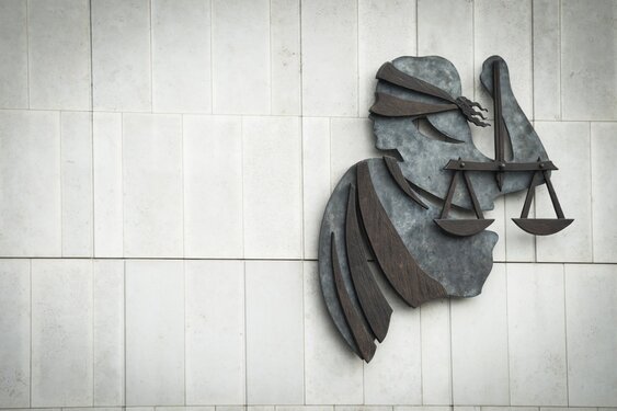 Eis: 4,5 jaar cel tegen voormalig advocaat uit Rotterdam