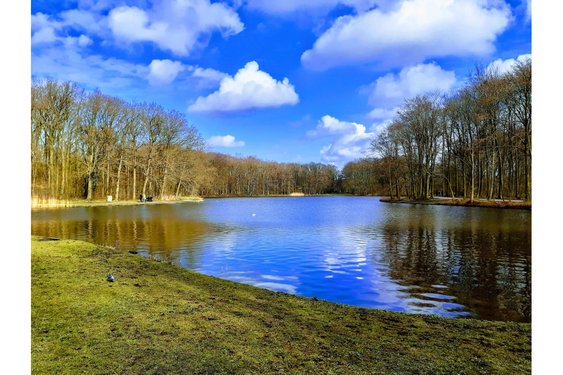 Omgevingsbeleid 2025: Provincie Zuid-Holland maakt scherpe keuzes voor de toekomst