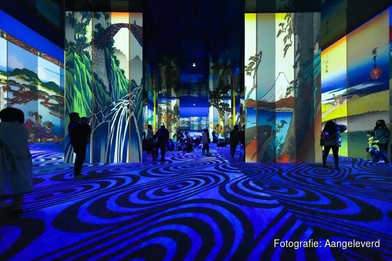 Vanaf 17 juli: Spirit of Japan bij Remastered Rotterdam
