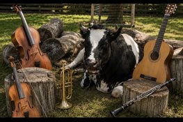 Beestachtig mooie klassieke muziek op Stadsboerderij De Molenwei