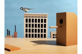 Hans van Asch laat vogels los in vervreemdende stillevens