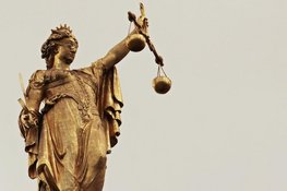 Agent niet vervolgd na schietincident Hoogvliet: geloste schoten volgens protocol