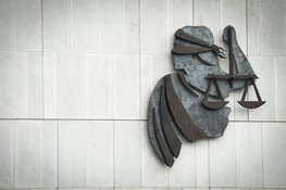 Eis: 17,5 jaar cel tegen Syriër uit Arkel, vermoedelijke veiligheidschef IS