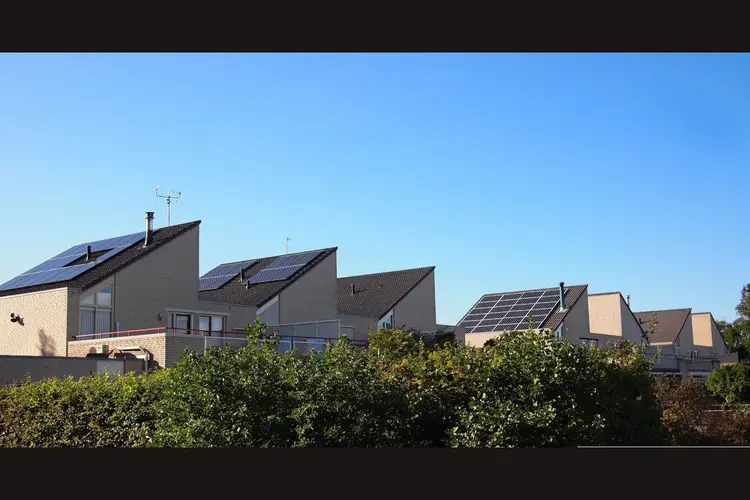 Zonnepanelen op je dak? In Zuid-Holland gaat je rekening met 282 euro omhoog