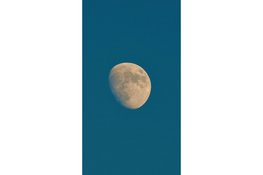 Nacht van de Nacht op stadsboerderij De Molenwei: ontdek de magie van het donker.