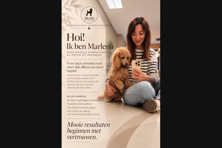 Merlin Pet Grooming in Schiedam: waar vakmanschap en persoonlijke aandacht samenkomen
