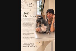 Merlin Pet Grooming in Schiedam: waar vakmanschap en persoonlijke aandacht samenkomen