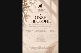 Merlin Pet Grooming in Schiedam: waar vakmanschap en persoonlijke aandacht samenkomen