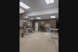 Merlin Pet Grooming in Schiedam: waar vakmanschap en persoonlijke aandacht samenkomen